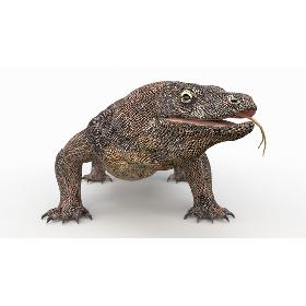 3D Komodo Dragon Rigged